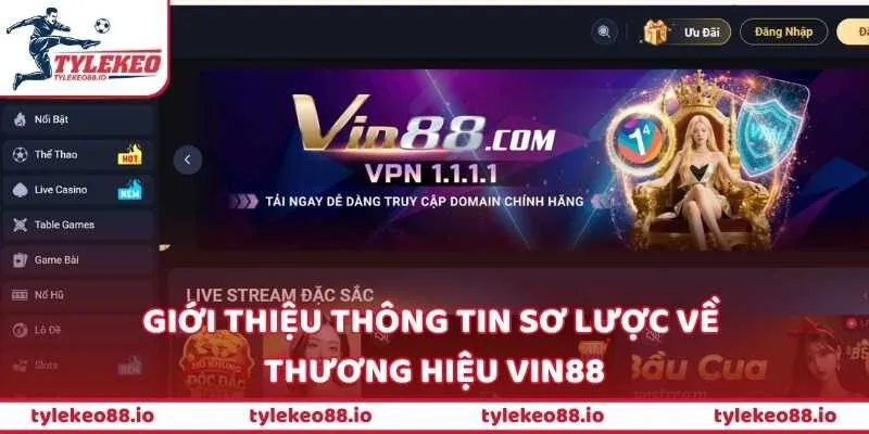 Giới thiệu thông tin sơ lược về thương hiệu VIN88